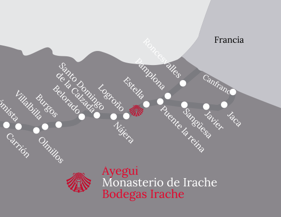 Gráfico camino de santiago