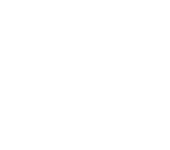 Logotipo Bodegas Irache