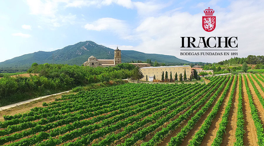 www.irache.com