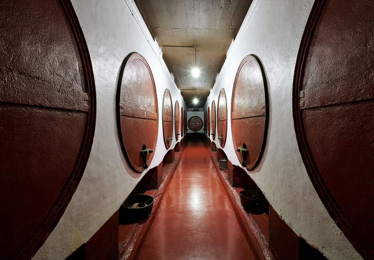 Imagen museo del vino