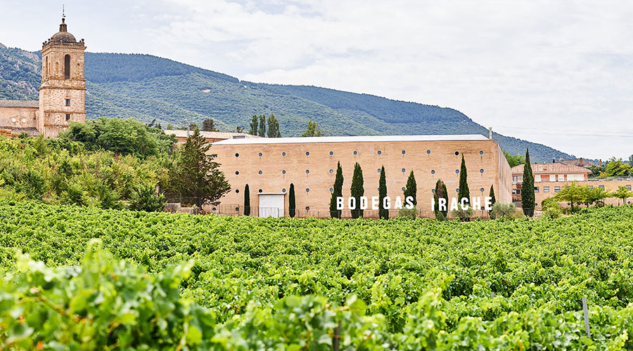 Imagen viñedos bodegas irache